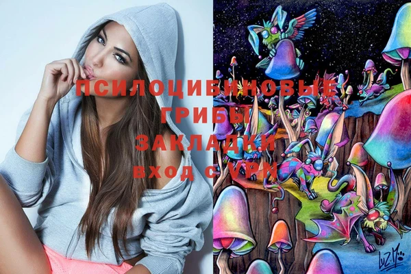 бошки Богородск