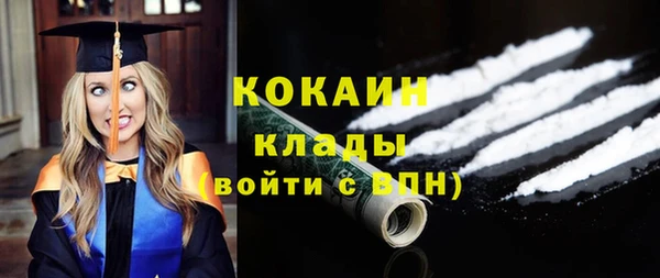 крисы Бронницы