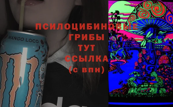 бошки Богородицк