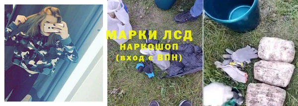 ешки Богданович