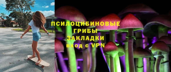 ешки Богданович