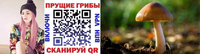 закладки  ОМГ ОМГ как зайти  Галлюциногенные грибы ЛСД  Козельск 
